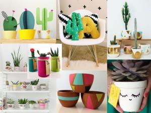 Cactus Crafts, Essentials